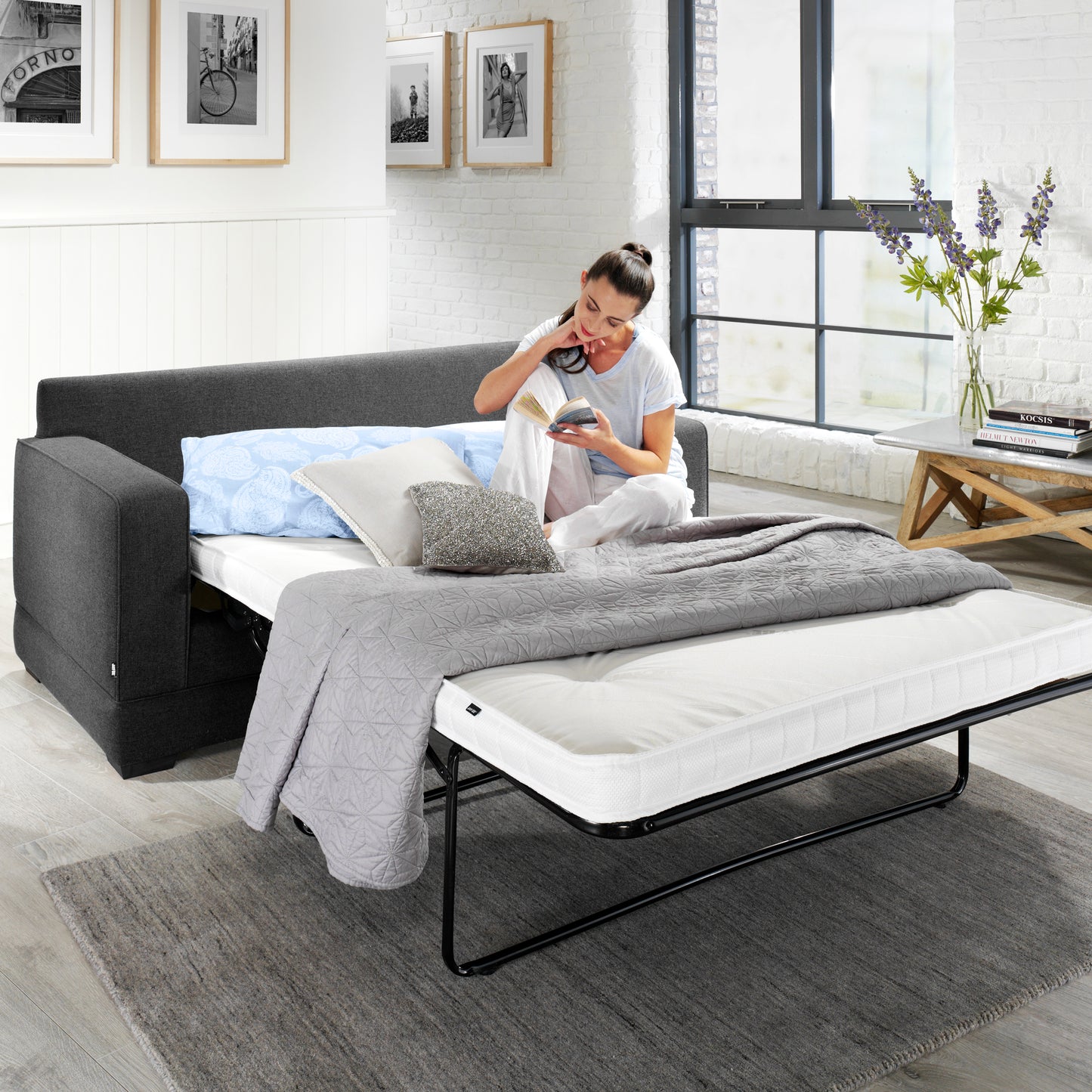 Modern Two Seater Sofa Bed